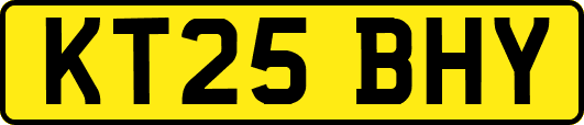 KT25BHY