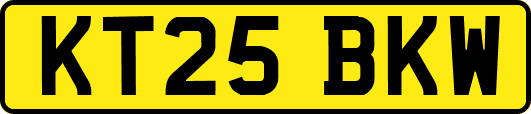 KT25BKW