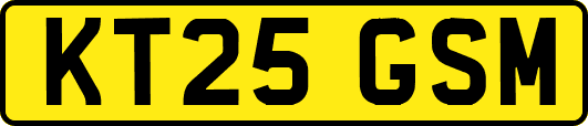 KT25GSM