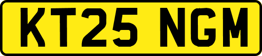KT25NGM