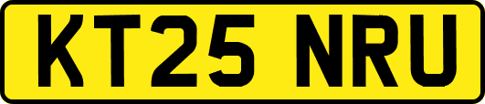 KT25NRU