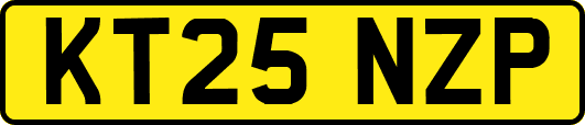 KT25NZP