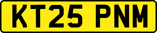 KT25PNM