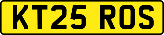 KT25ROS