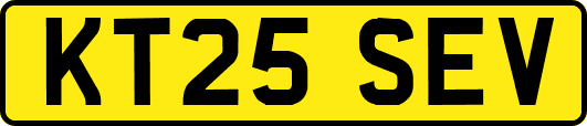 KT25SEV
