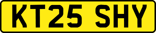KT25SHY