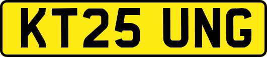 KT25UNG
