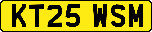 KT25WSM
