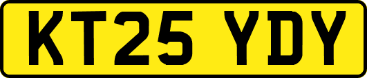 KT25YDY