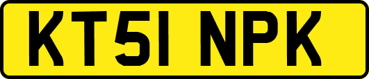 KT51NPK