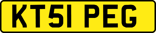 KT51PEG