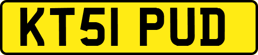 KT51PUD