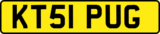 KT51PUG
