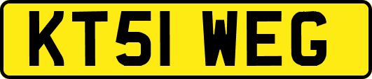 KT51WEG