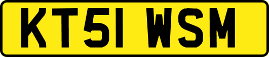 KT51WSM
