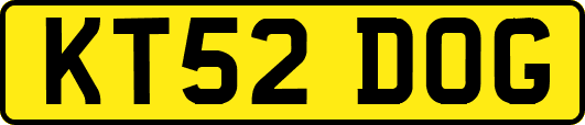 KT52DOG