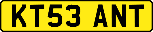KT53ANT