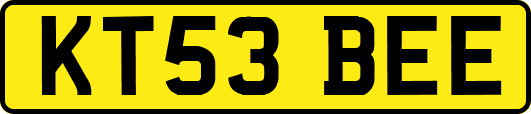KT53BEE