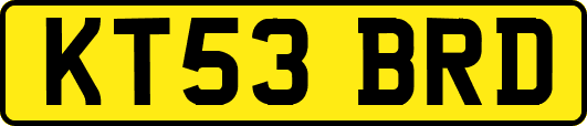 KT53BRD