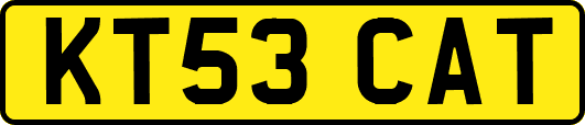 KT53CAT