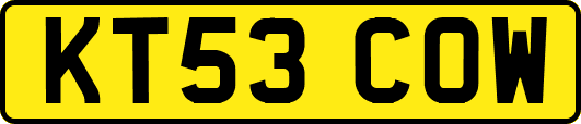 KT53COW