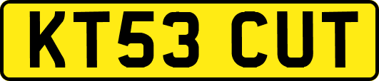 KT53CUT