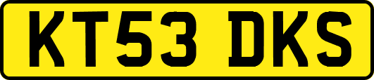 KT53DKS