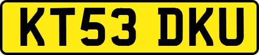 KT53DKU