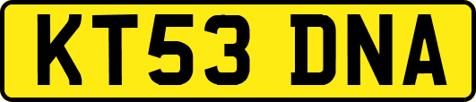 KT53DNA