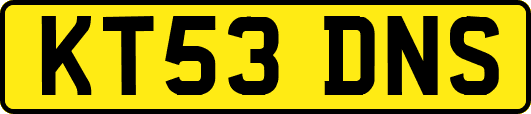 KT53DNS
