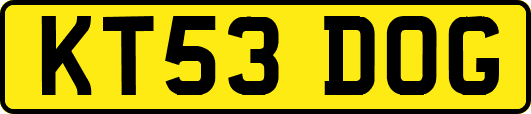 KT53DOG