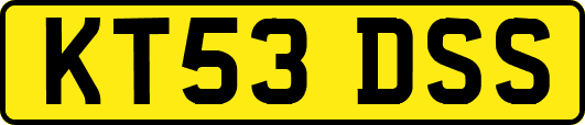 KT53DSS