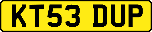 KT53DUP