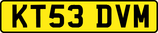 KT53DVM