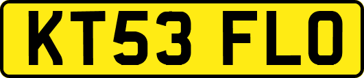 KT53FLO