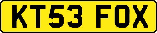 KT53FOX