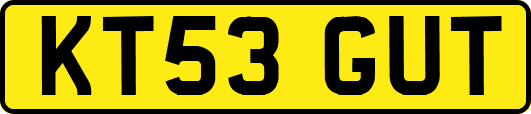 KT53GUT