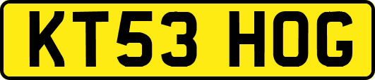 KT53HOG