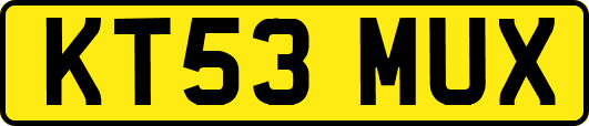 KT53MUX