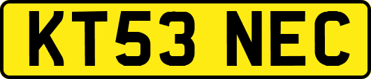 KT53NEC