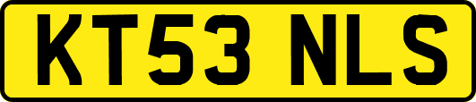 KT53NLS