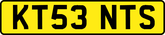 KT53NTS