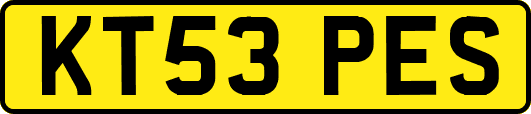 KT53PES