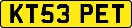 KT53PET