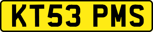 KT53PMS