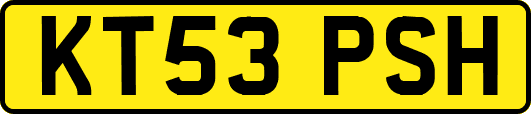 KT53PSH