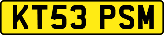 KT53PSM