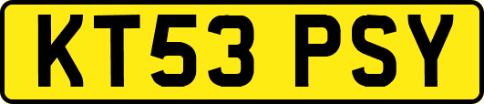 KT53PSY