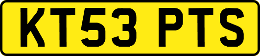 KT53PTS
