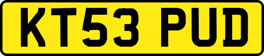 KT53PUD
